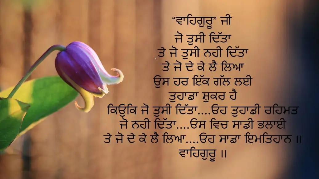 Punjabi Lyrics Status