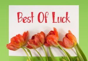 Best Whishes/Best Of Luck Whishes In Hindi