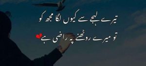 Sad Poetry In Urdu 